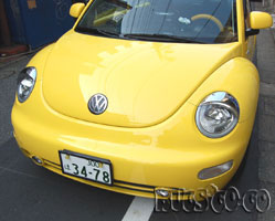 KAMEI �w�b�h���C�g�A�C�u���E